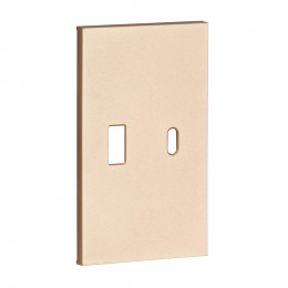 Лицевая панель для USB+Type С шампань матовый MEITON ACH12C