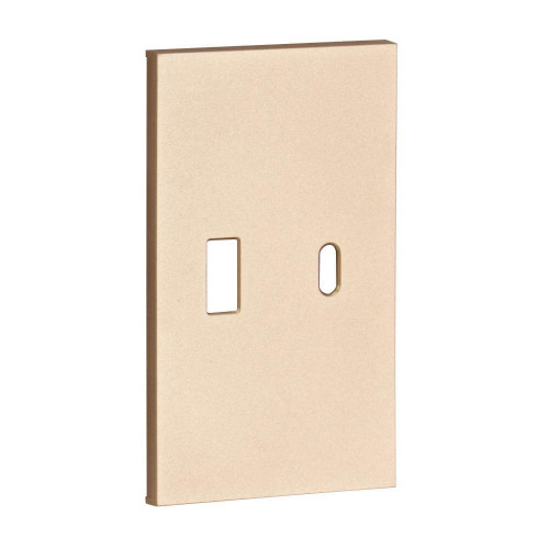 Купить Лицевая панель для USB+Type С шампань матовый MEITON ACH12C в rum24.ru