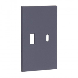 Лицевая панель для USB+Type С грифель матовый MEITON AL12C