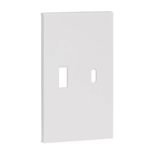 Купить Лицевая панель для USB+Type С белый матовый Meiton AW12C в rum24.ru
