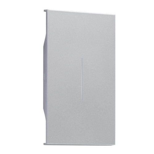 Купить Клавиша 2 модуля серый матовый MEITON AS01M2 в rum24.ru