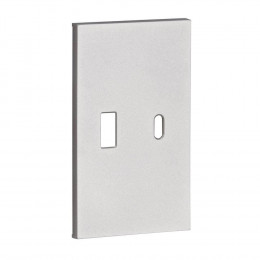 Лицевая панель для USB+Type С серый матовый MEITON AS08M2
