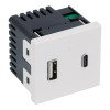 Купить Механизм розетки USB+TYPE C 2 модуля Meiton A4287C2 в rum24.ru
