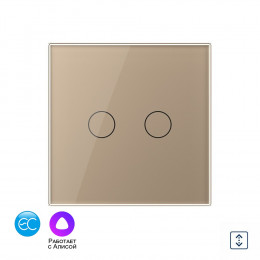 Умный сенсорный выключатель для штор Livolo EC сухой контакт, 1 пост, цвет золотой