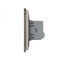 Одноклавишный сенсорный выключатель Livolo, 1 пост, цвет шампань