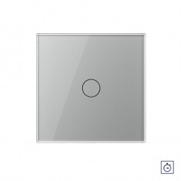 Одноклавишный сенсорный выключатель с таймером Livolo, 1 пост, цвет серый