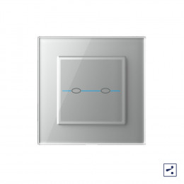 Двухклавишный проходной/перекрестный сенсорный выключатель Livolo Quadro, 1 пост, цвет серый