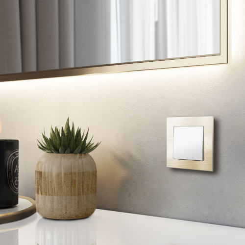 Купить Рамка из металла на 1 пост Аluminium шампань алюминий в rum24.ru фото: 5