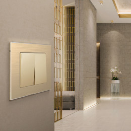 Рамка из металла на 1 пост Аluminium шампань алюминий