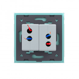 Розетка с двумя USB type-A, блоком питания 5В 2.1А Livolo, 1 пост, цвет зеленый