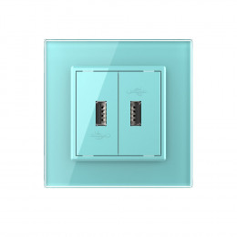 Розетка с двумя USB type-A, блоком питания 5В 2.1А Livolo, 1 пост, цвет зеленый