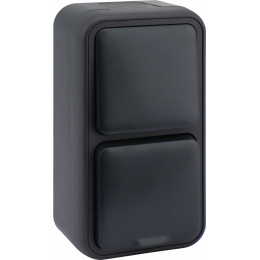 Двойной блок накладной, розетка с защитной крышкой+переключатель 1-клавишный, цвет антрацит, IP55, серия W55 DIP20628