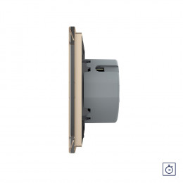 Одноклавишный сенсорный выключатель с таймером Livolo, 1 пост, цвет золотой