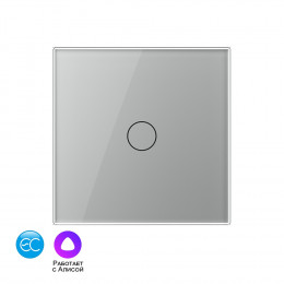 Одноклавишный пульт дистанционного управления Livolo EC, цвет серый