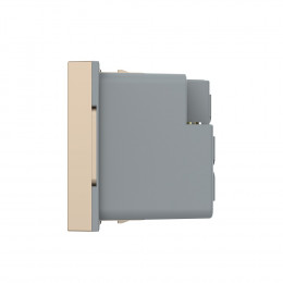 Розетка электрическая 1/2 с заземлением 13A Livolo, цвет золотой (механизм)