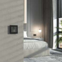 Выключатель двухклавишный проходной с подсветкой (графит акрил) Werkel W1122144