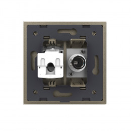 Розетка телевизионная и интернет RJ-45 кат.6 Livolo, 1 пост, цвет шампань