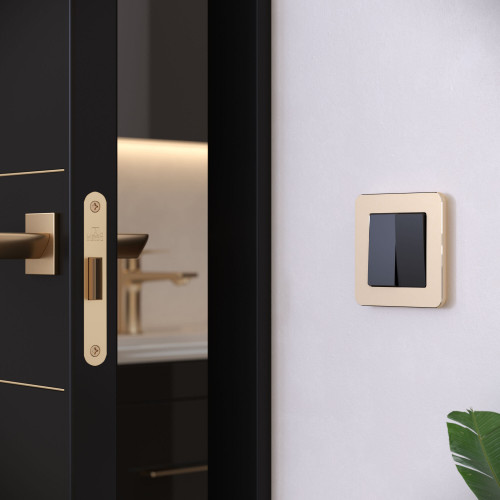 Купить Рамка из металла на 1 пост Platinum шампань в rum24.ru фото: 2