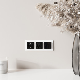 Розетка с заземлением, шторками и USB тип A+C (черный акрил) Werkel W1171748