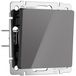 Выключатель одноклавишный (графит акрил) Werkel W1110044