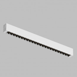 Светильник на шине Denkirs DK8002-WB