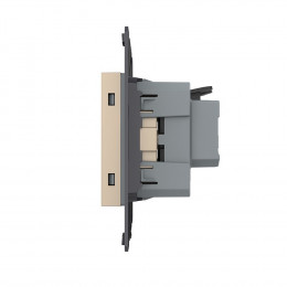 Розетка электрическая с заземлением защитными шторками 16A Livolo, зажимы, цвет золотой (механизм) VL-FCTC16A-2APS01