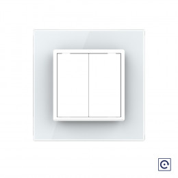 Механический выключатель звонкового типа Livolo 2 клавиши Белый