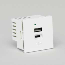 USB зарядное устройство, 4.2A , Type A + C, 2 мод., бел. (45х45мм) DUSB4200WCF