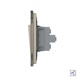 Двухклавишный проходной механический выключатель Livolo, 1 пост, цвет шампань