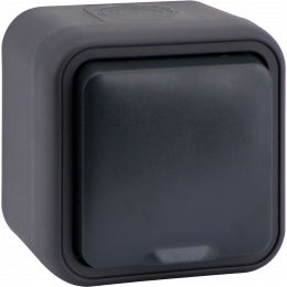 Розетка 1-я с защитной крышкой, 2К+З и шторками, накладная, цвет антрацит, IP55, серия W55 DIP18828