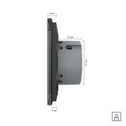 Сенсорный выключатель Livolo с функцией радиоуправления, 2 клавиши (1-1), 2 поста, цвет черный