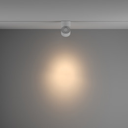 Трековый поворотный светильник Yin Maytoni 15 Вт 3000К 24 ° белый TR084-1-15W3K-W