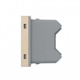 Розетка электрическая 1/2 10A Livolo, цвет золотой (механизм)