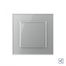 Механический проходной выключатель Livolo 1 клавиша Серый