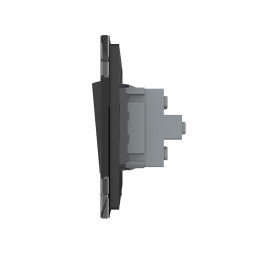 Механический выключатель Livolo 2 клавиши Черный