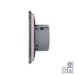 Двухклавишная радиоуправляемая сенсорная кнопка Livolo сухой контакт, 1 пост, Розовый