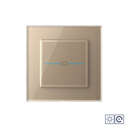 Одноклавишный сенсорный импульсный выключатель Livolo Quadro сухой контакт, 1 пост, цвет золотой