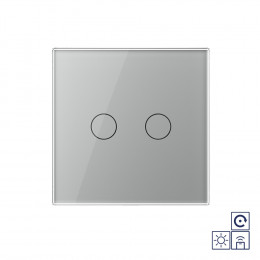 Двухклавишная радиоуправляемая сенсорная кнопка Livolo сухой контакт, 1 пост, Серый