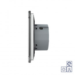 Двухклавишная радиоуправляемая сенсорная кнопка Livolo сухой контакт, 1 пост, Серый