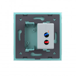 Розетка с одним USB type-A, блоком питания 5В 2.1А Livolo, 1 пост, цвет зеленый