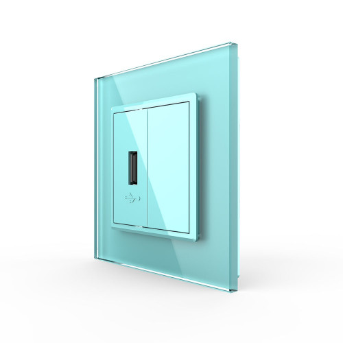 Купить Розетка с одним USB type-A, блоком питания 5В 2.1А Livolo, 1 пост, цвет зеленый в rum24.ru