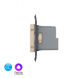 Розетка электрическая с заземлением защитными шторками 16A Livolo EC, цвет золотой (механизм)