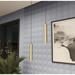 Светильник на шине Denkirs DK6210-BG