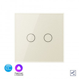Двухклавишный проходной умный сенсорный выключатель Livolo EC, 1 пост, цвет жемчужный VL-C702SZ2-14