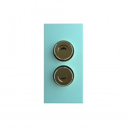 Розетка акустическая Livolo, цвет зеленый (механизм)