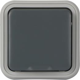 Рамка с крышкой для скрытой установки розетки одиночный, цвет серый, IP55, серия W55 DIP62040