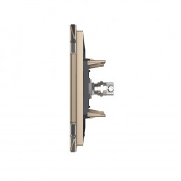 ТВ-розетка двойная LIVOLO золотая VL-C792V-13