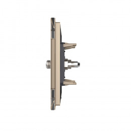 Спутниковая SAT-розетка LIVOLO золотая VL-C791ST-13