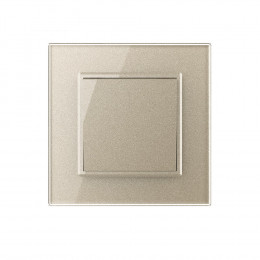 Одноклавишный механический выключатель Livolo, 1 пост, цвет шампань