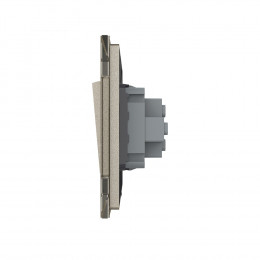 Одноклавишный механический выключатель Livolo, 1 пост, цвет шампань